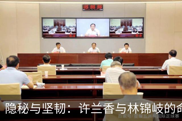 隐秘与坚韧：许兰香与林锦岐的命运交错